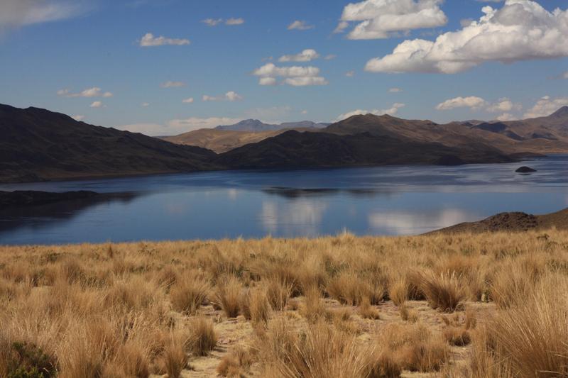 850-Lagunillas,14 luglio 2013.JPG